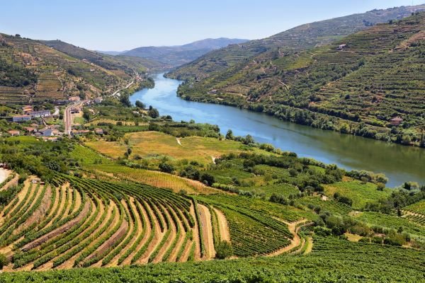 Paysage des vignes en terrasse le long de la rivière Douro au Portugal