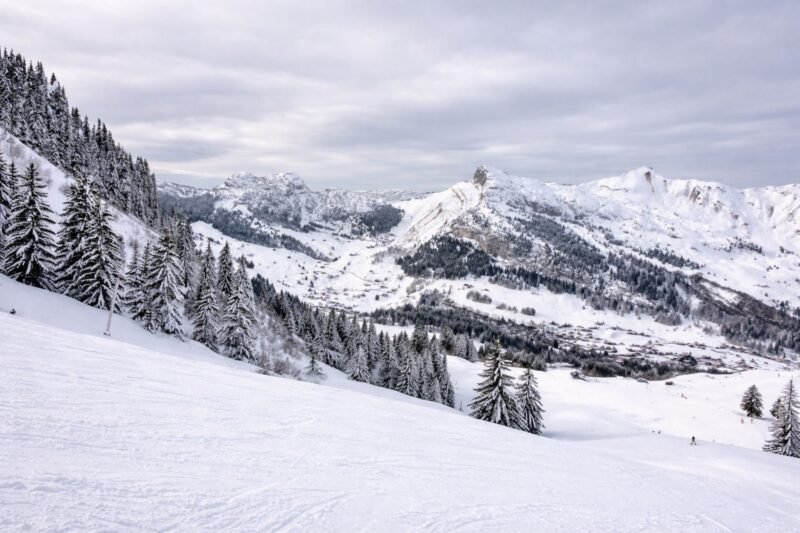Montagnes enneigées et pins en Auvergne-Rhône-Alpes