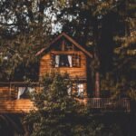 Cabane perchée dans les arbres au milieu de la forêt
