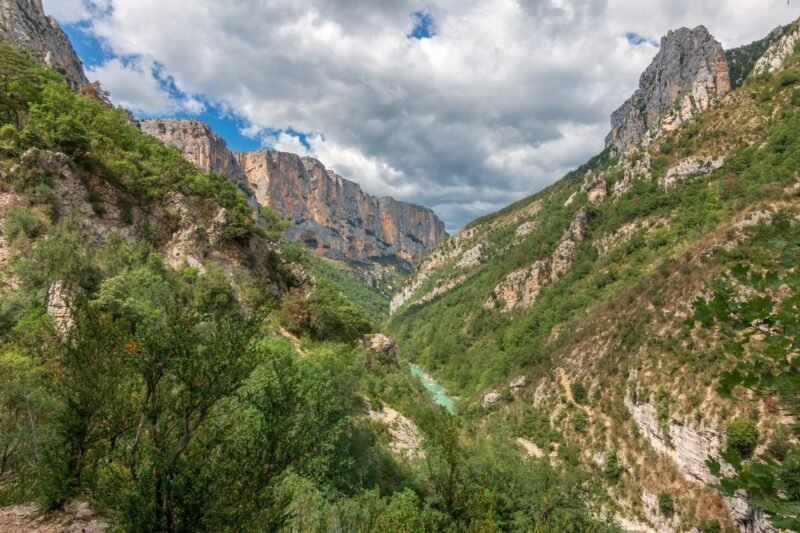 Falaises et végétation des gorges du Verdon