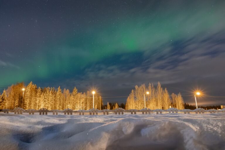 Aurore boréale verte au-dessus d'une route enneigée bordée de bouleaux éclairés en Laponie finlandaise