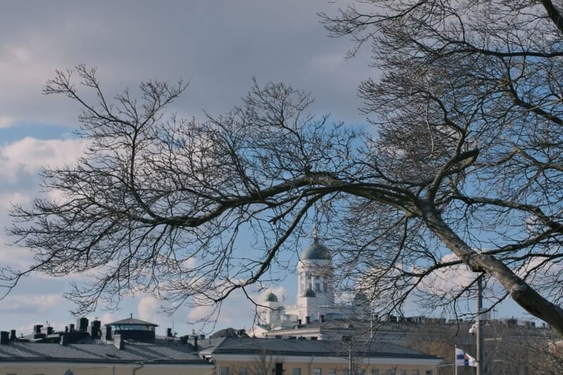 La cathédrale d'Helsinki et ses dômes verts vus à travers les branches nues d'un arbre en hiver