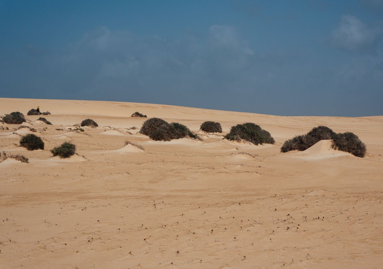 Que faire à Fuerteventura : 15 lieux à voir, l’île de Lobos et un itinéraire de 4 jours