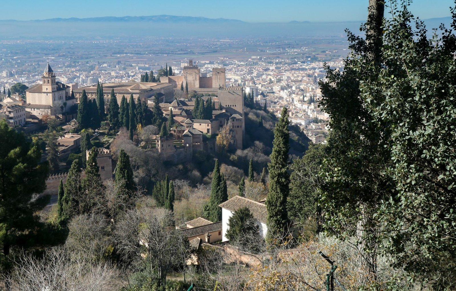 L'Alhambra de Grenade entourée de cyprès, avec la ville et la plaine en arrière-plan