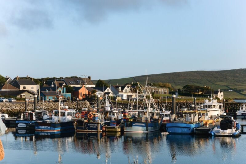 Des bateaux de pêche amarrés dans le port de Dingle, devant des maisons colorées et une colline verte