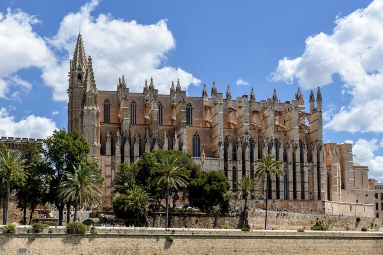 La cathédrale gothique de Palma de Majorque et ses palmiers sous un ciel bleu