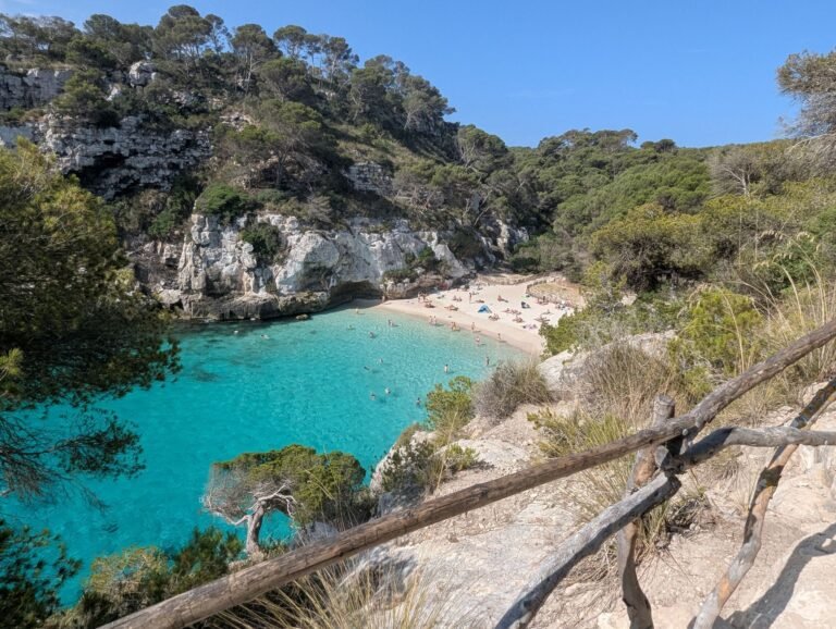 Crique aux eaux turquoise bordée de falaises et de pins à Minorque, vue depuis le sentier