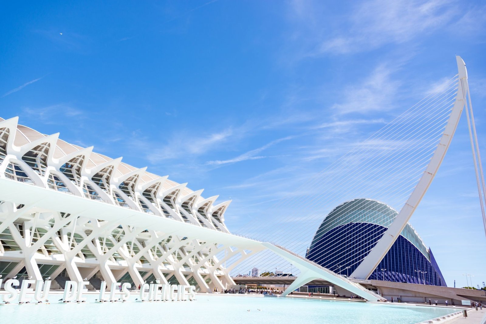 Le musée des sciences et l'Ágora de la Cité des arts et des sciences de Valence sous un ciel bleu